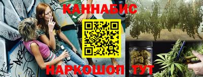 индика Краснознаменск