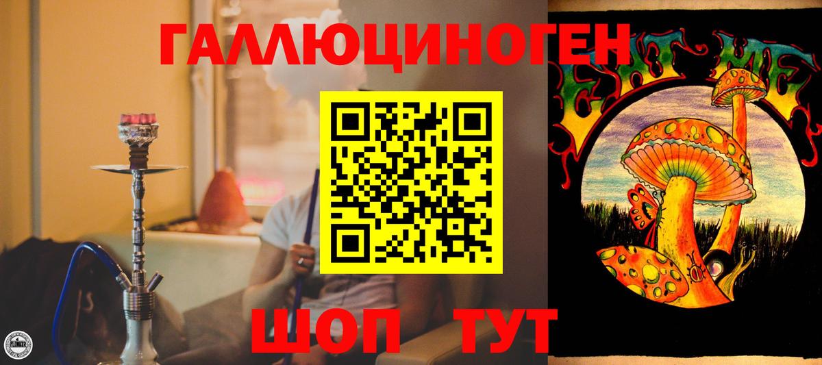 Галлюциногенные грибы Psilocybe  Вход с VPN  Котельники  Галлюциногенные грибы GOLDEN TEACHER 