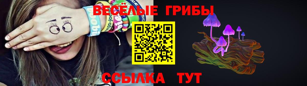 Галлюциногенные грибы Cubensis Котельники